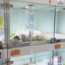 동암동물병원 이미지