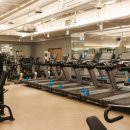 아인스 휘트니스 이미지