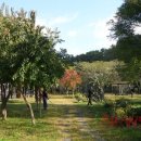 정모시공원 이미지