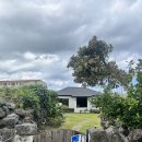 곽지머물다 | 🏝️ 제주 숙소 추천ㅣ한림읍 고즈넉한 독채 감성 숙소 제주그밤 (에어비앤비, 내돈내산)