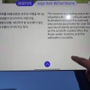 20240928(토) 이건희 피카소 컬렉션 및 전시 이미지