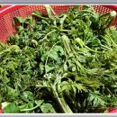 엄나무민박 이미지