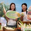 [단독] 한국맥도날드, 충주 찰옥수수 버거 판매 조기 종료…"돌 알갱이 발견" 이미지
