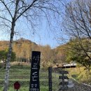 나는숲이다 이미지