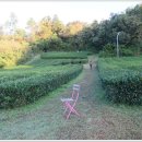 14-1코스 이미지