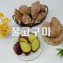 주식회사 샘터