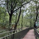 어쩌다동막골 이미지