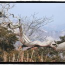 靑春-마음으로 하나 이미지