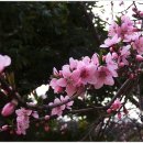 흐르는 강물을 바라 이미지