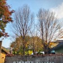 강원도 양구 가볼 만한 곳 양구수목원과 양구백자박물관, 양구 지게마을 체험