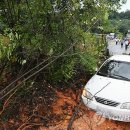 자유무역지역2공구 이미지