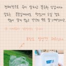 초코지니 이미지