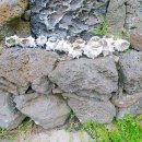 봉아저씨네 민박 이미지