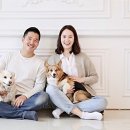 모음컴퍼니 | 강형욱 회사 폭로 모음|보듬컴퍼니 기본정보, 잡플래닛 평점 후기