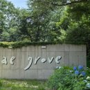 밸리1961 이미지