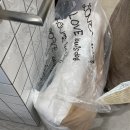 루이독앤디자인