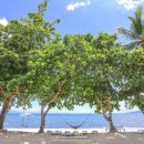 momo house(모모하우스) 이미지