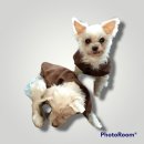 금오동물병원 이미지