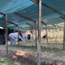 용곡농장 | 2025년 첫 도로줌팜스테이 – KAIST &amp; DGIST 학생들과 함께한 2박 3일 이야기