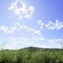 도풀이네 이미지