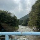 대림애견 | [대림식당] 내돈내산 대구근교 애견동반 맛집 솔직후기ㅣ가창 맛집ㅣ애견동반 카페 추천ㅣ대구근교 애견...