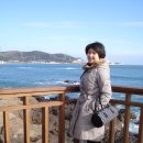 바람불어좋은날 - 함평군 영흥길 90 | 바람불어좋은날