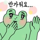 보배쭈꾸미 구서점 이미지