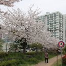 밧데리마산상사