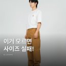 핏사이즈