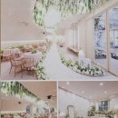 11500-19-80-01 | 2달 만에 결혼식 하기_01(해운대 팔레드시즈 웨딩홀)