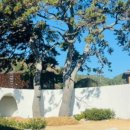 스타벅스기장임랑점 이미지