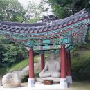 유덕농산물 | 데라우치꽃과 청와대 미남석불