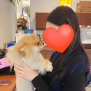 하이홉(hihope) 이미지