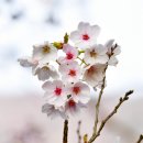 천상의 맛 이미지