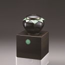 세원한의원 이미지