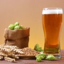 풍미(주식회사) 이미지