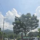 칠연가든 이미지