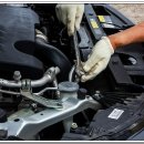 카프라자 이미지