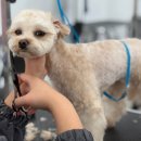 미용농장 이미지