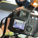 11500-10-05-101 | [2025.05.04-05] 거부기거북 거북어 거북스딱스 ˚₊✩‧₊