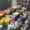 일품대패(호계점) 이미지