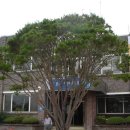 면사무소 이미지