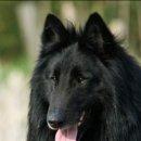 수덕농장(2) 이미지