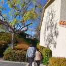 애프터기공소 이미지