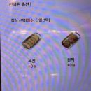 육전국밥 네이버블로그