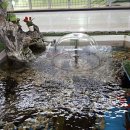 시원진국반찬 이미지