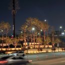 송파대로 이미지