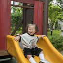 채선당 도시락&샐러드 밀키트24 광주조선대점 이미지