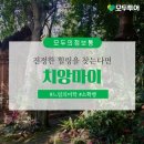 여명여행사 이미지