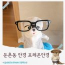 다본안경(세류점) | 둔촌동안경 포레온안경 차승원 뮤지엄안경 변색렌즈 후기